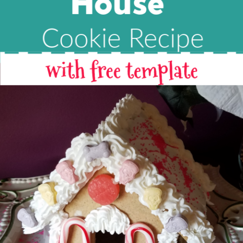 Image for Classic Gingerbread House Cookie Mix Recipe - Includes Template