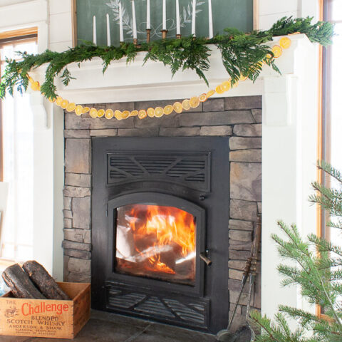 Image for How to Make Dried Orange Slices