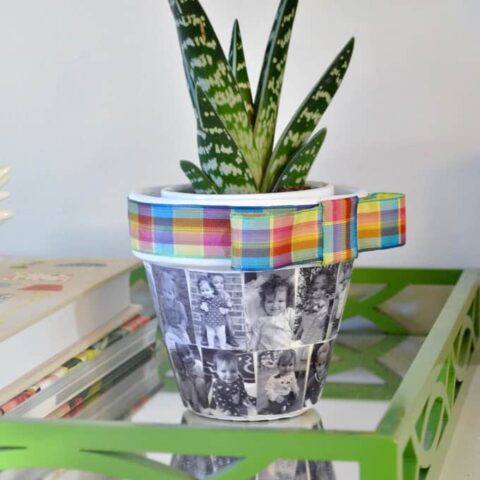 Image for DIY Photo Planter