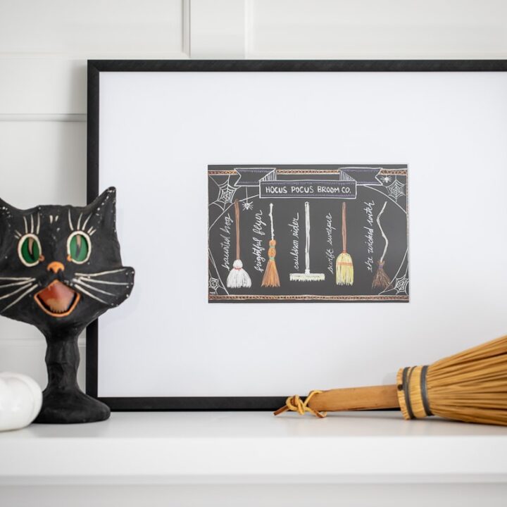 Image for Hocus Pocus Broom Co.