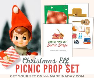 Christmas Elf Printable Picnic Prop Set