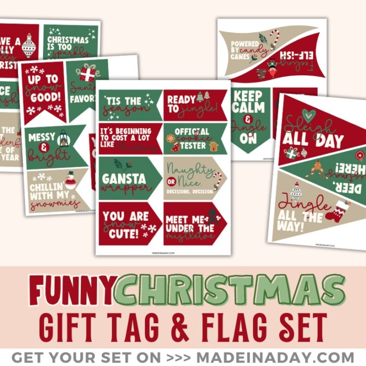 Image for Large Funny Christmas Gift Tags