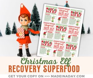 Sick Christmas Elf Recovery Superfood Tags