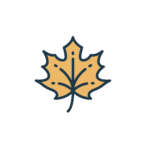 fall crafts and more