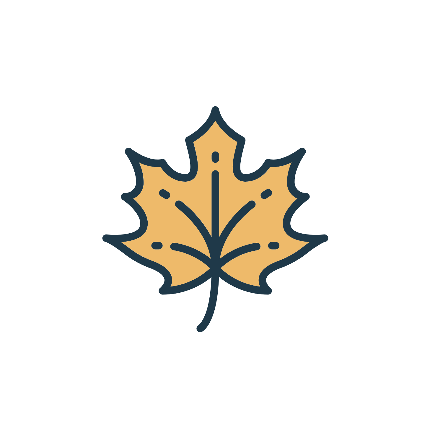 fall crafts and more