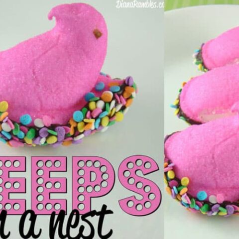 Image for Peeps Bird Nest Easter Treat