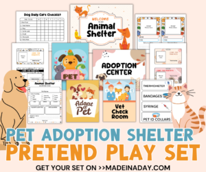 Pet Adoption Shelter Pretend Play Set