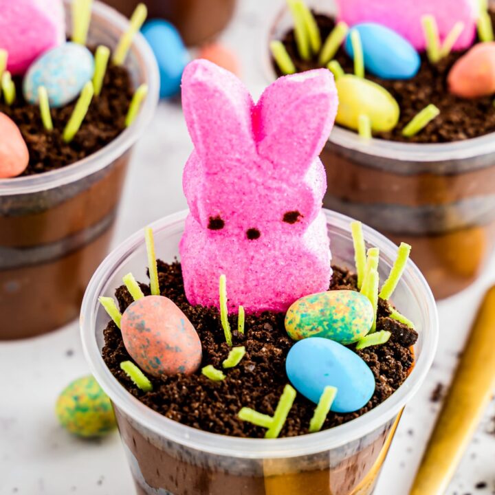 Image for EASTER DIRT PUDDING CUPS