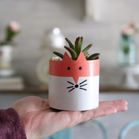 Image for cereal box succulent planters