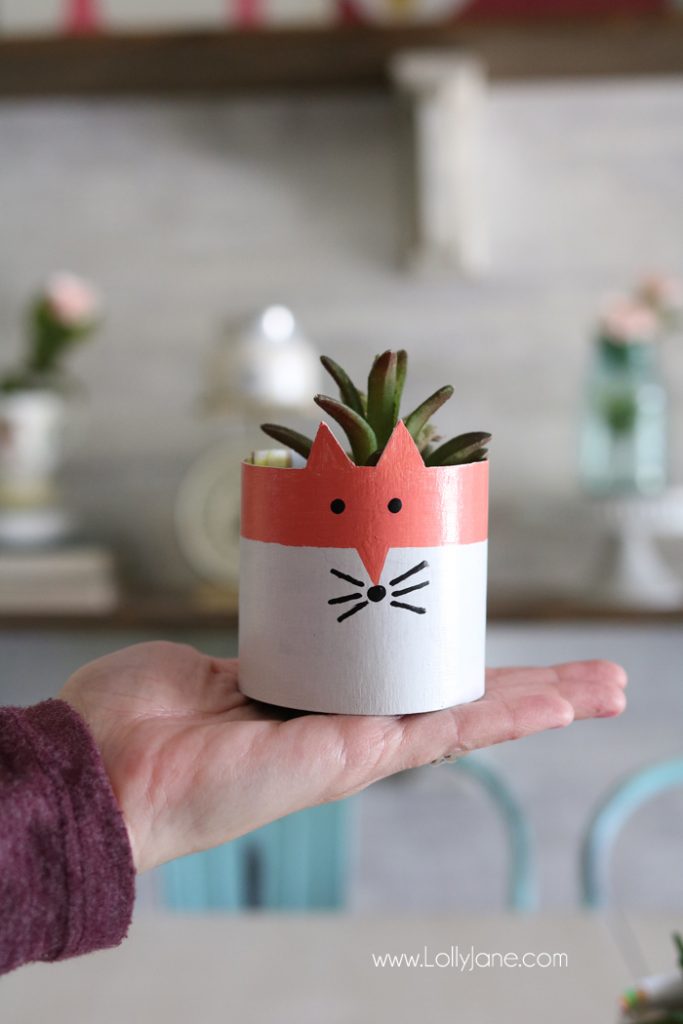 Image for cereal box succulent planters