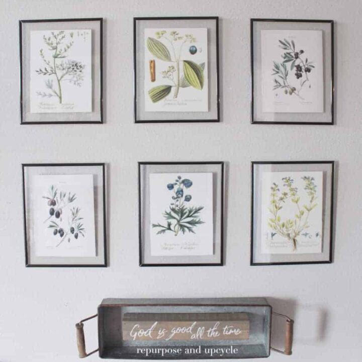 Image for DIY Framed Botanical Prints with Free Botanical Printables
