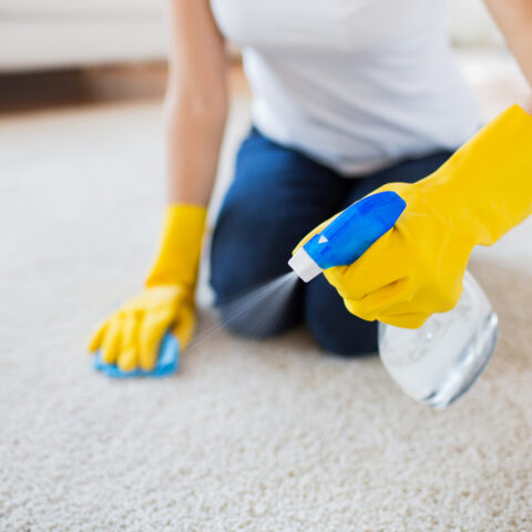 Image for How to Clean Carpets and Rugs Like A Pro!