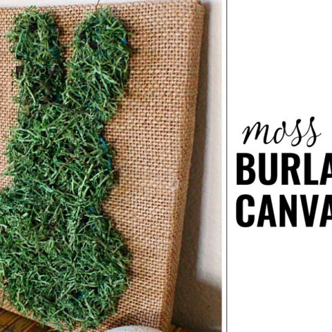 Image for Moss Covered Bunny Canvas Art