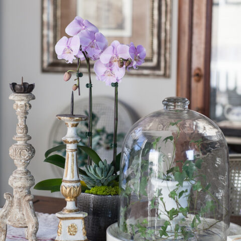 Image for Transitioning from Winter to Spring Decor