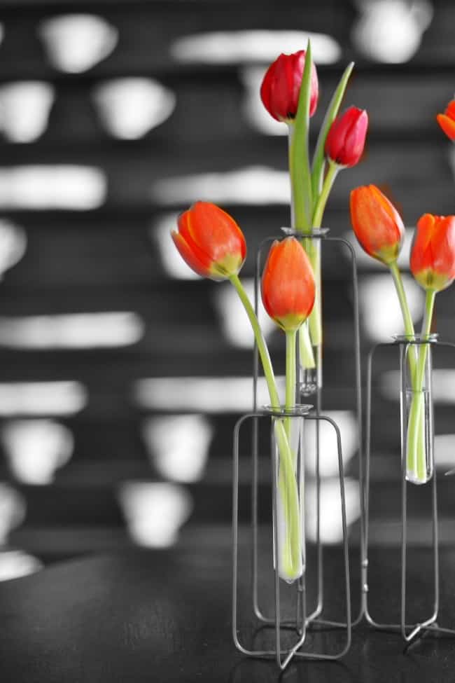 Image for PHOTOGRAPHY
			A Different Kind of Arrangement