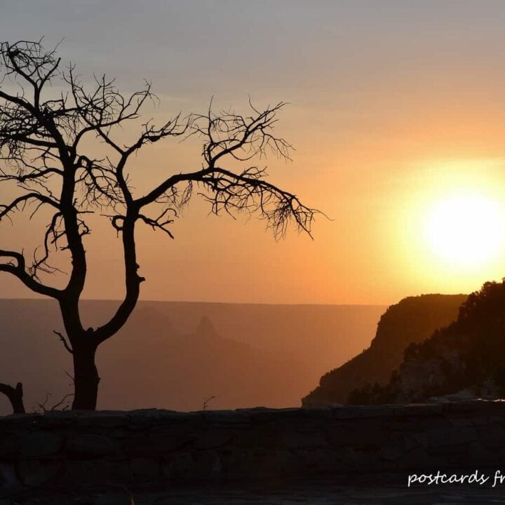 Image for Favorite Travel Places For a Family Trip Out West