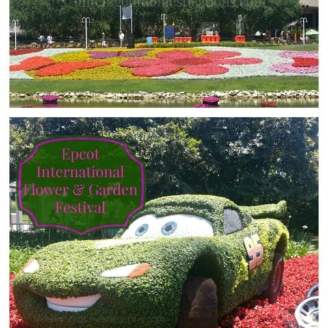 Image for Planning Your Disney Experience & Our Visit To Epcot International Flower & Garden Festival