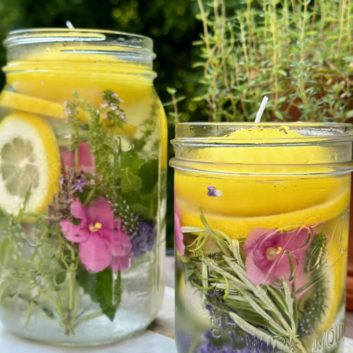 Image for Crafting Mason Jar Mosquito Repellents from Your Garden