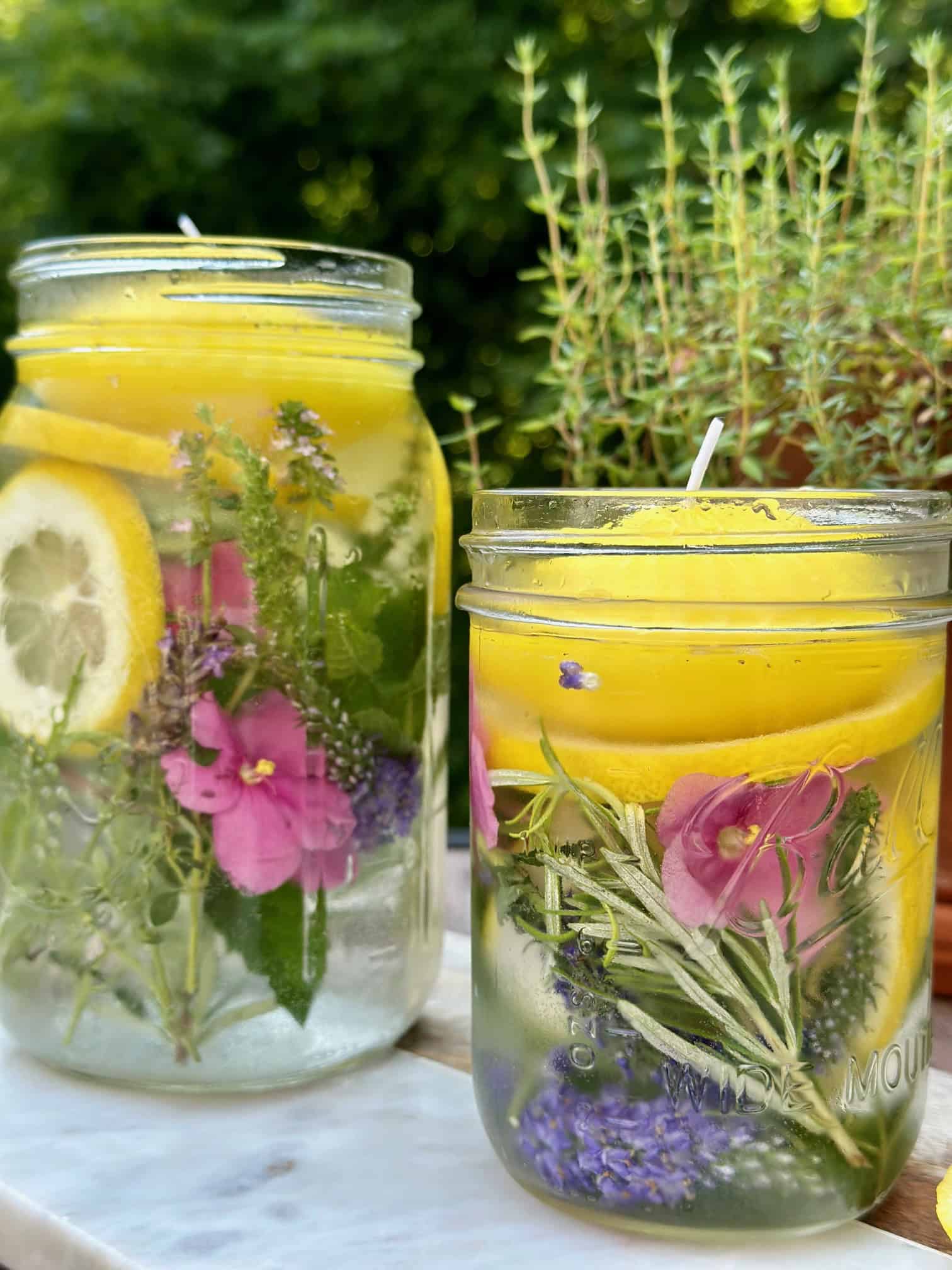 Image for Crafting Mason Jar Mosquito Repellents from Your Garden