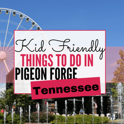Image for Top 10 Kid Friendly Things to do in Pigeon Forge, Tennessee