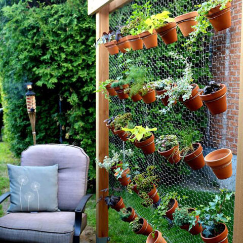 Image for How to Build Your Own DIY Vertical Garden Wall
