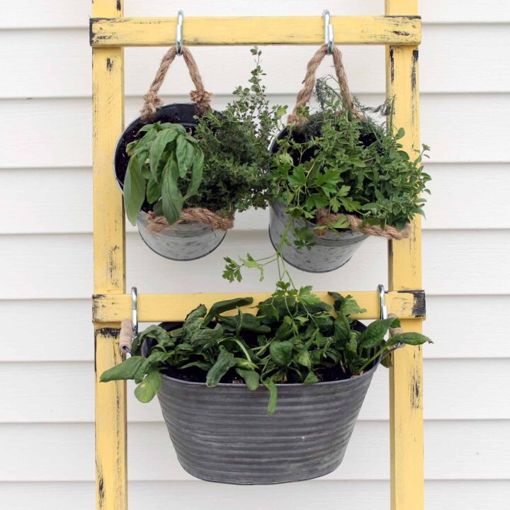 Image for DIY Vertical Garden for Your Porch