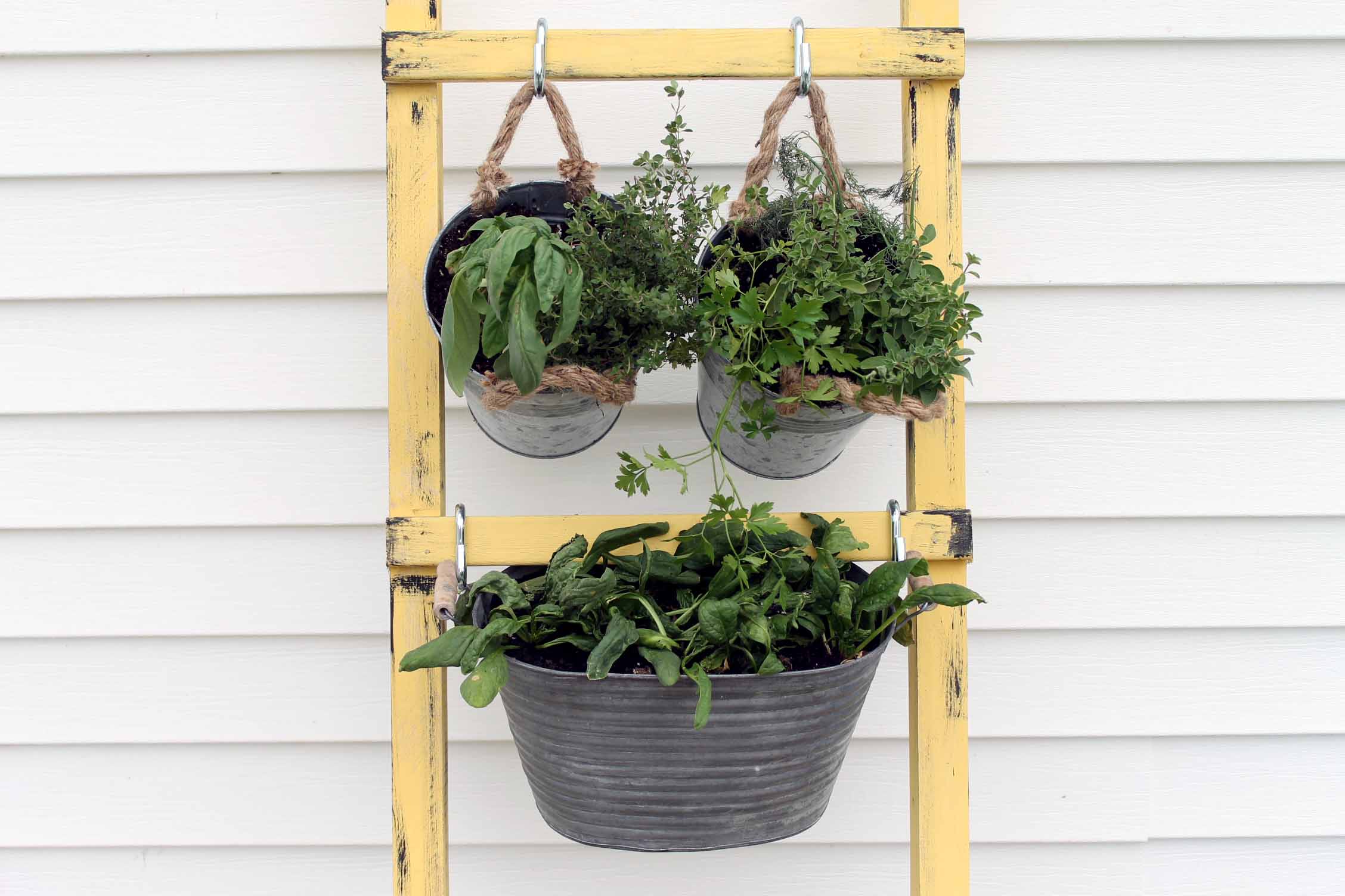 Image for DIY Vertical Garden for Your Porch