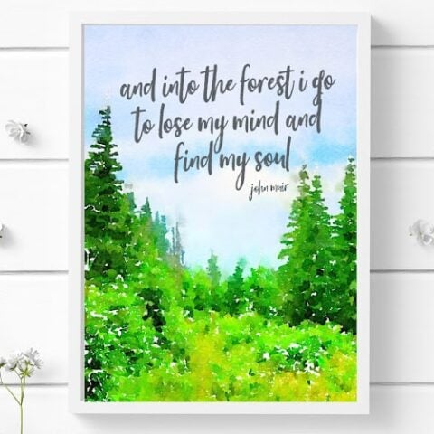 Image for Free Printables: Colorful Art for Summer