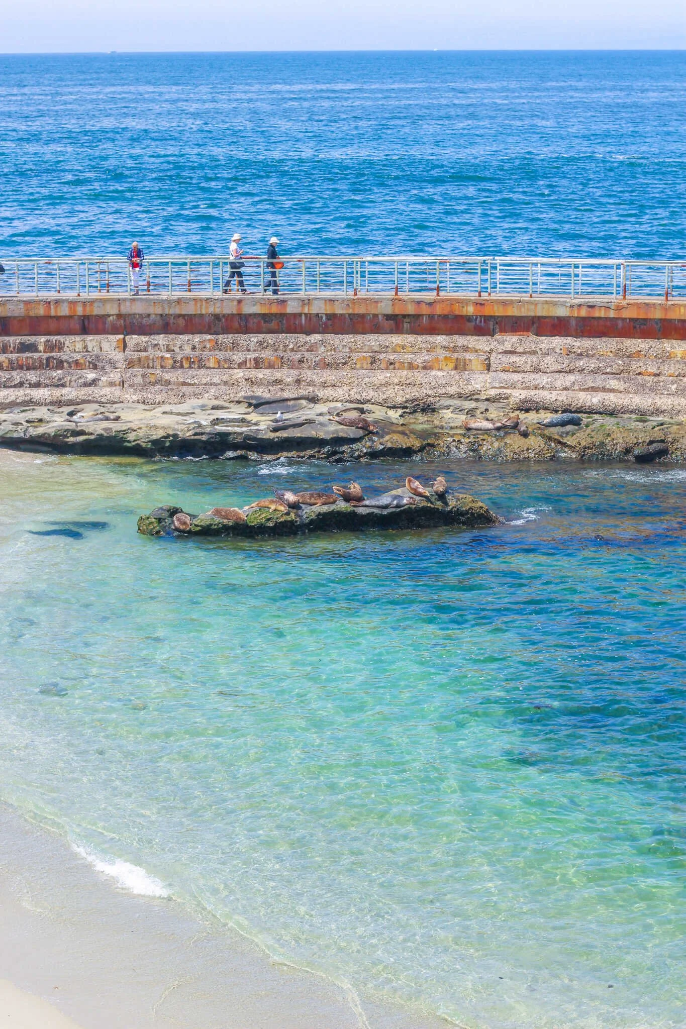 Image for La Jolla Travel Guide - Best Family-Friendly Things to Do