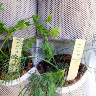Image for Hanging Herb Garden: DIY Guide and Benefits
