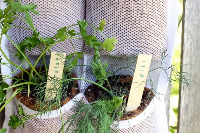 Image for Hanging Herb Garden: DIY Guide and Benefits