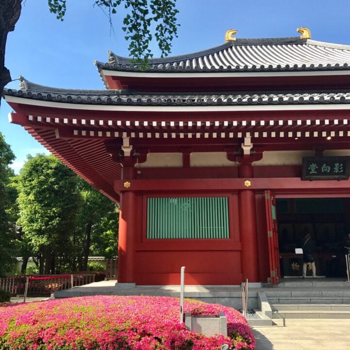 Image for Exploring Tokyo for the First Time: My 4-Day Itinerary & Must-See Attractions