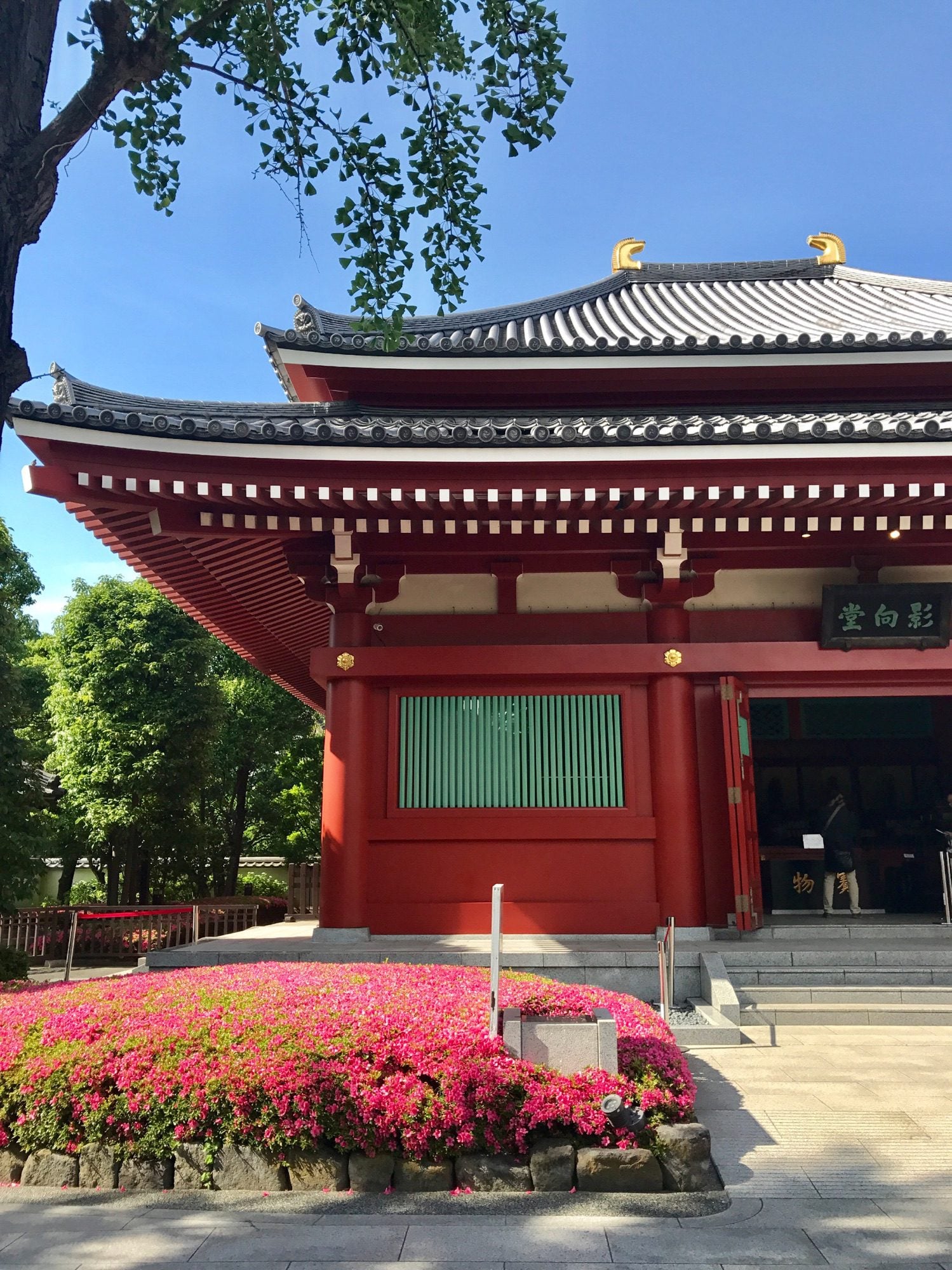 Image for Exploring Tokyo for the First Time: My 4-Day Itinerary & Must-See Attractions