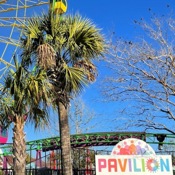 Image for Myrtle Beach, South Carolina Travel Guide