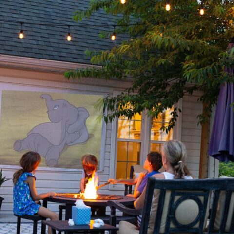 Image for DIY Outdoor Movie Screen