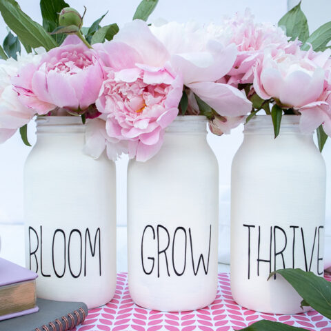 Image for Cricut Chalky Painted Jars
