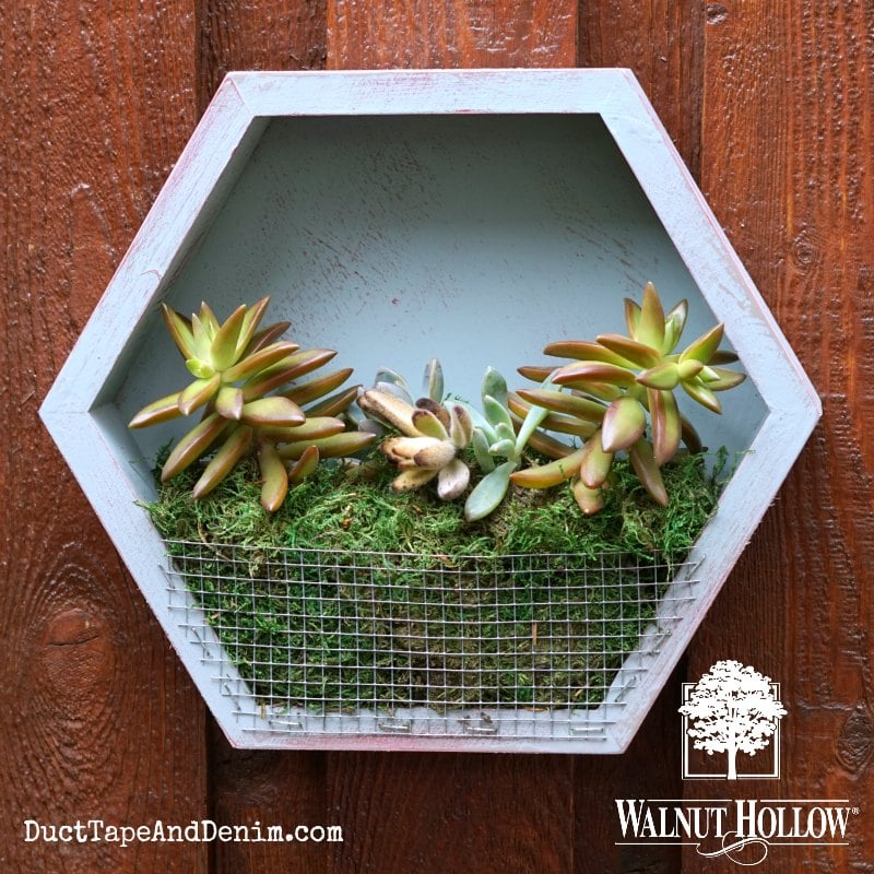 Image for walnuthollowcrafts