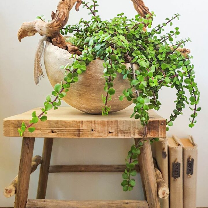 Image for DIY Stone Planter With a Vine Handle