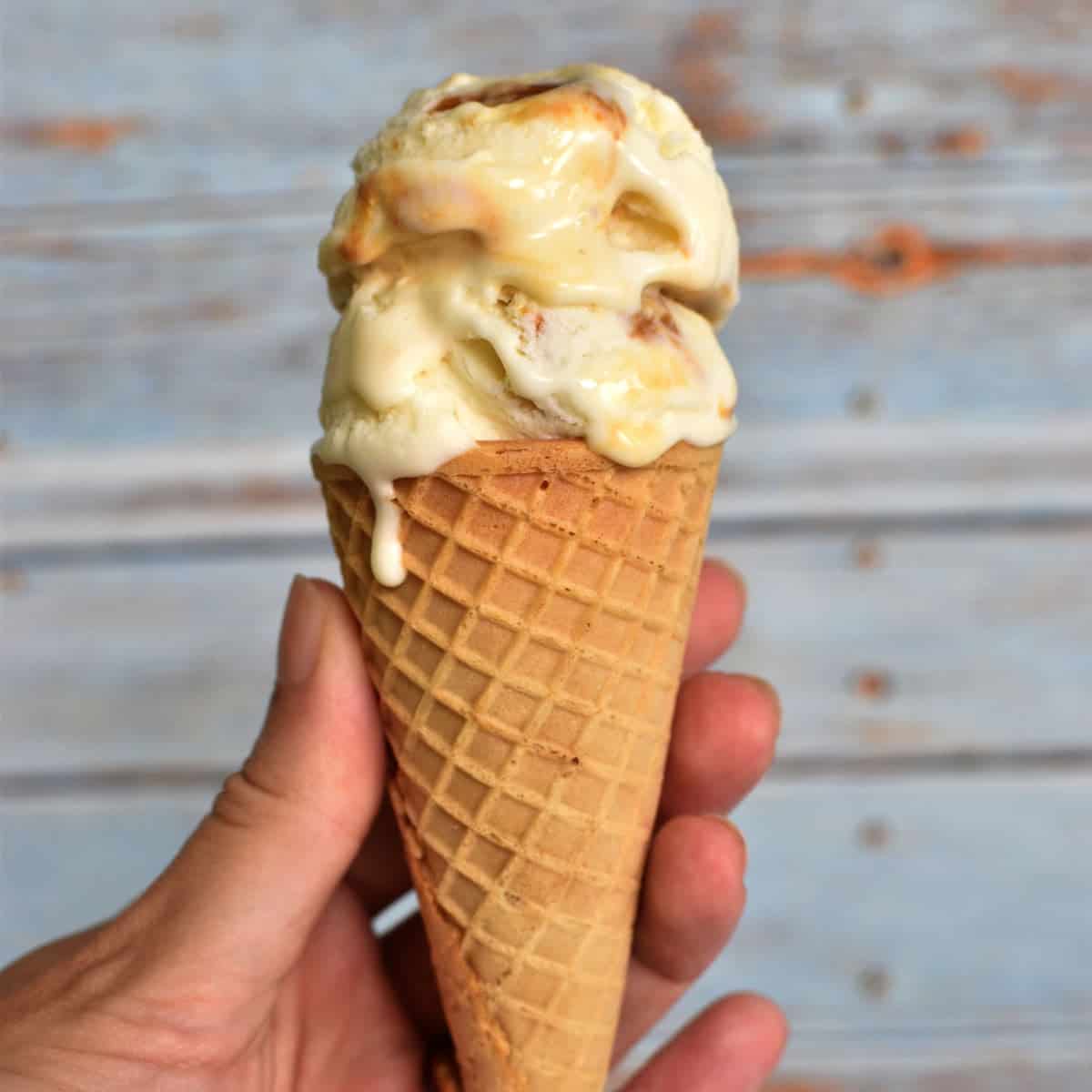 Image for No-Churn Coconut Ice Cream (with Dulce de Leche)