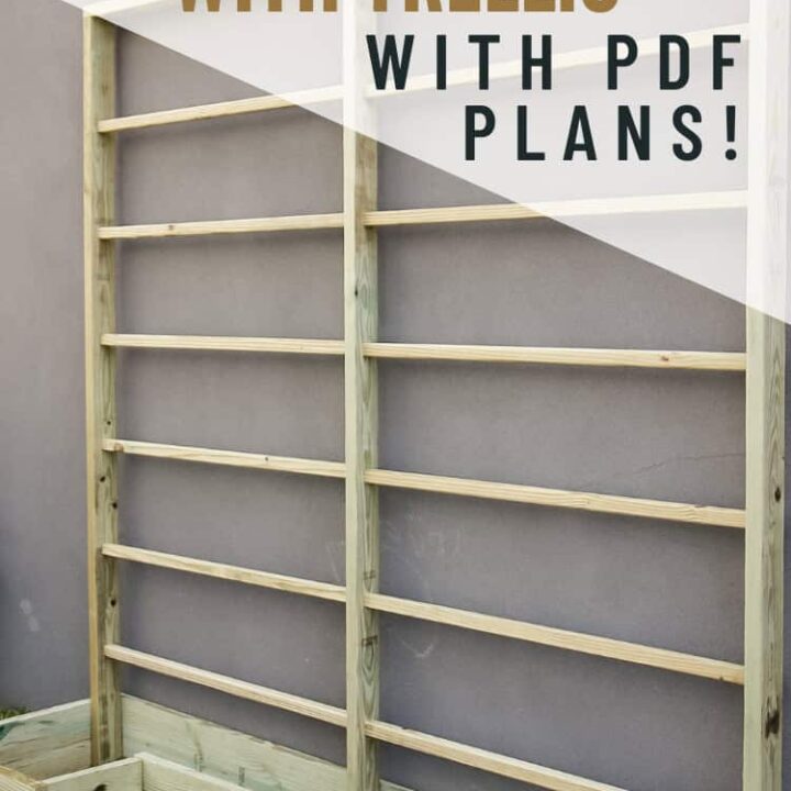 Image for How to build a DIY raised garden bed with trellis