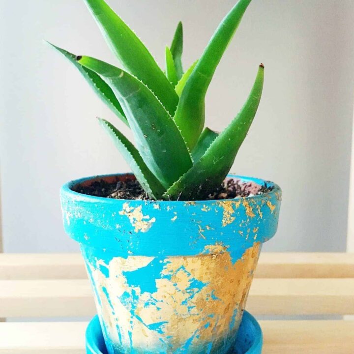 Image for DIY Gold Leaf Planters