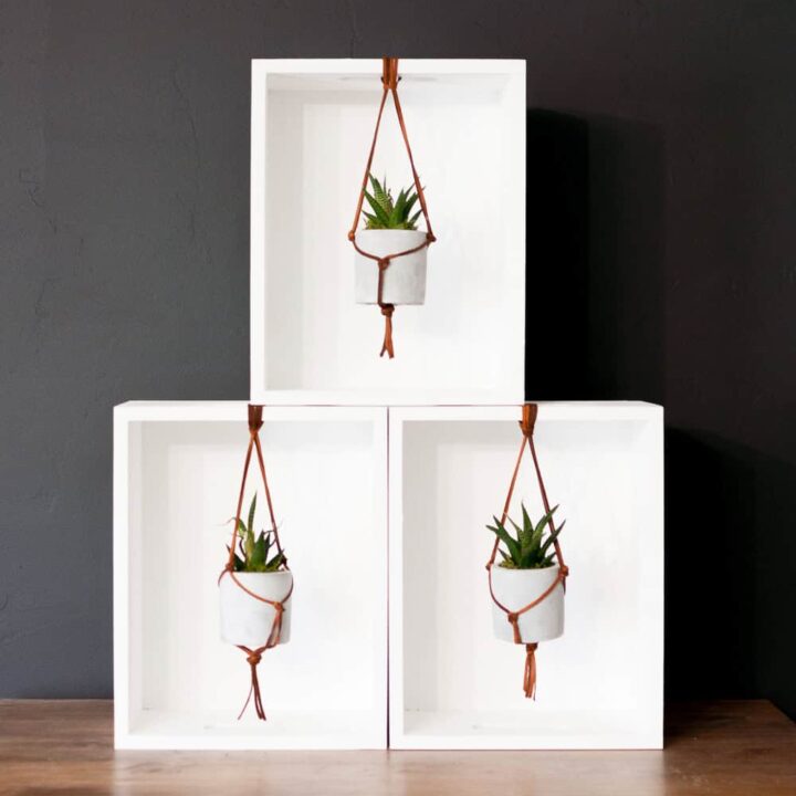 Image for Leather Macrame Hanging Succulent Planter Tutorial