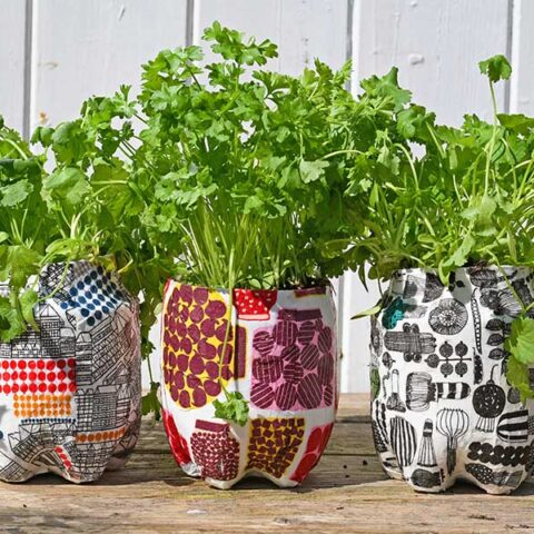 Image for How To Make Cool Marimekko Plastic Bottle Planters