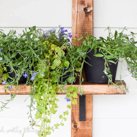 Image for DIY Vertical Herb Garden Planter Made With 2×4’s