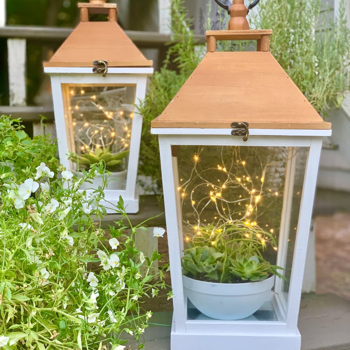 Image for Garden Lantern Idea with Succulents and Twinkle Lights