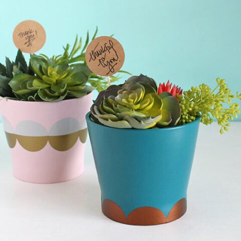 Image for Easy DIY Modern Planter and Hostess Gift Idea
