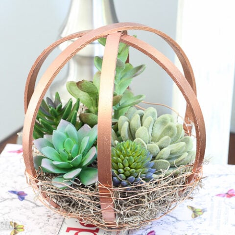 Image for Embroidery Hoop DIY Terrarium Globe