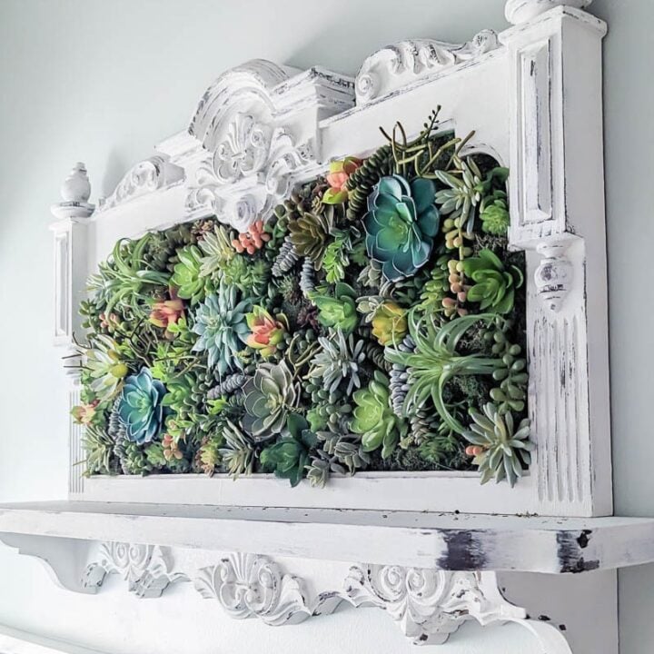 Image for How to Make Beautiful DIY Succulent Wall Art