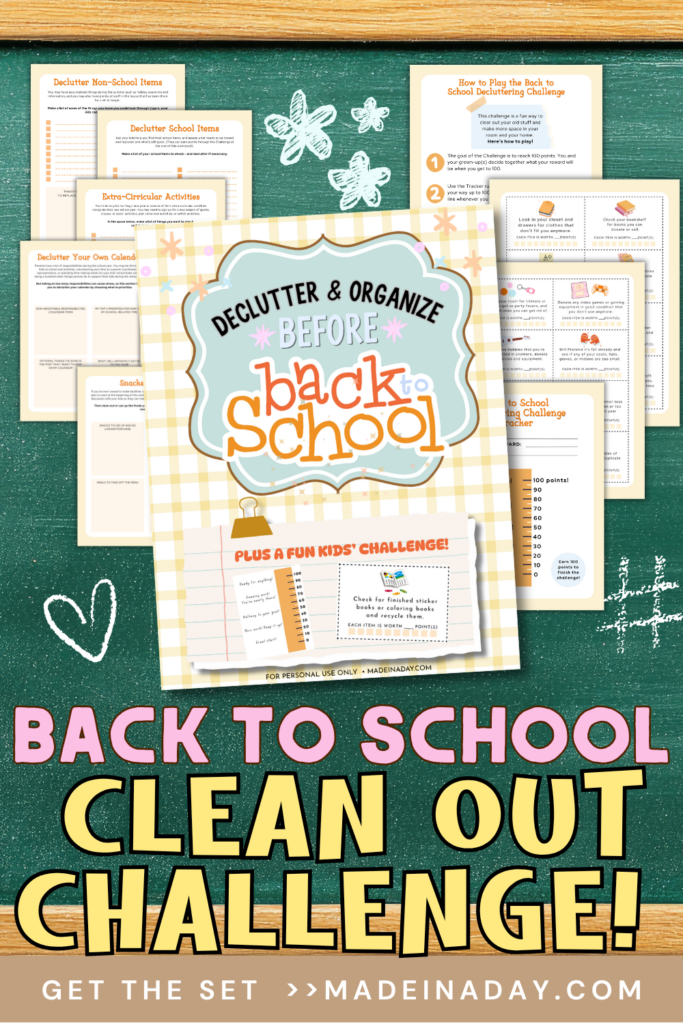 Back To School Clean Out Challenge Set