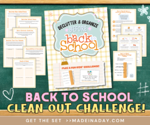 Back To School Clean Out Challenge
